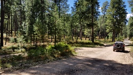 East Pocket Road - Waypoint 24: 9012R Camping Spur Intersection