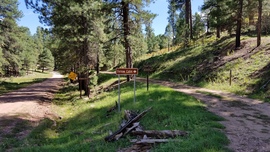 East Pocket Road - Waypoint 18: Fernow Cabin Intersection