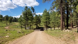 East Pocket Road - Waypoint 16: Fernow and Tram Tanks Trail Intersection