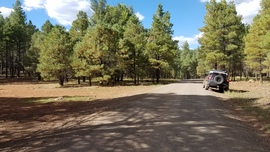 East Pocket Road - Waypoint 12: FR 9011G Intersection