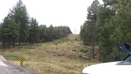East Pocket Road - Waypoint 11: Casner Cabin Draw
