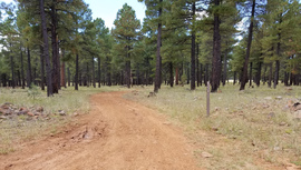 FR 535 - Waypoint 11: FR 6330 Intersection