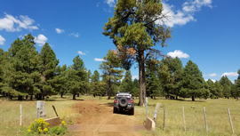 FR 535 - Waypoint 10: Cattle Guard