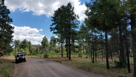 FR 535 - Waypoint 4: Camping Spur Intersection