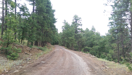 FR 535 - Waypoint 2: Switchbacks
