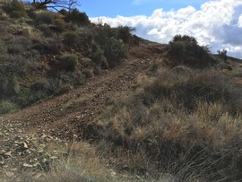 Big Maggie May Trail - Waypoint 4: Old Mine Shaft