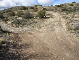 Big Maggie May Trail - Waypoint 3: Fork in Trail