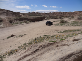 Tectonic Gorge - Ocotillo Wells SVRA - Waypoint 2: Access to camp area