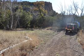 Jackson Cabin/Muleshoe Ranch Road FR #691, Arizona - Waypoint 17: Sycamore Canyon Camp Site(s)