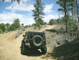 Fourmile Area: Lenhardy Cutoff - Waypoint 3: Hill