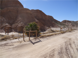 Tectonic Gorge - Ocotillo Wells SVRA - Waypoint 5: An Oasis for Life