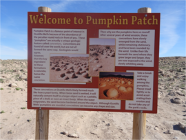 Pumpkin Patch Trail - Ocotillo Wells SVRA - Waypoint 10: Pumpkin Patch Displays