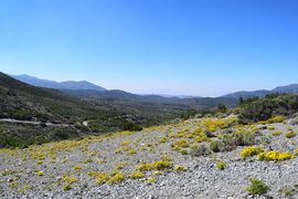 Wheeler Pass - Las Vegas, Nevada