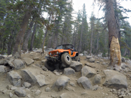 26E213 - Coyote Lake Trail - Shaver Lake, California