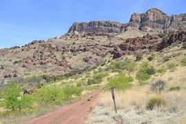 Highlights: Jackson Cabin/Muleshoe Ranch Road FR #691, Arizona - Willcox, Arizona
