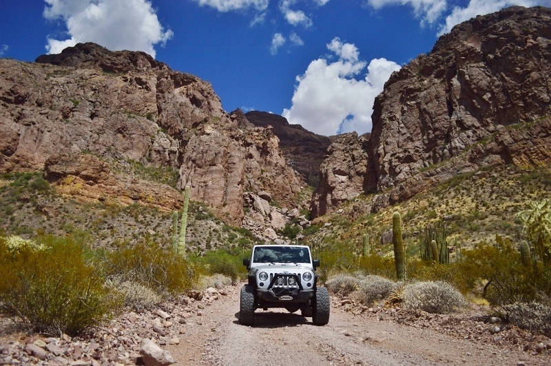 Ajo Mountain Loop Arizona Trails Offroad