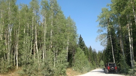 Bear Lake Summit Trail - Laketown, Utah